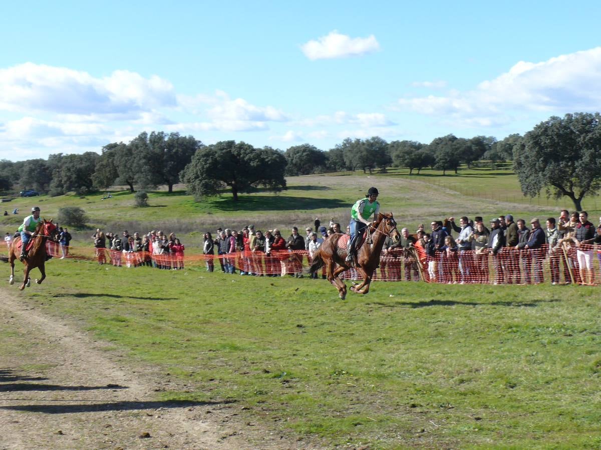 Toril acogerá el sábado una nueva edición de su popular Carrera de Caballos