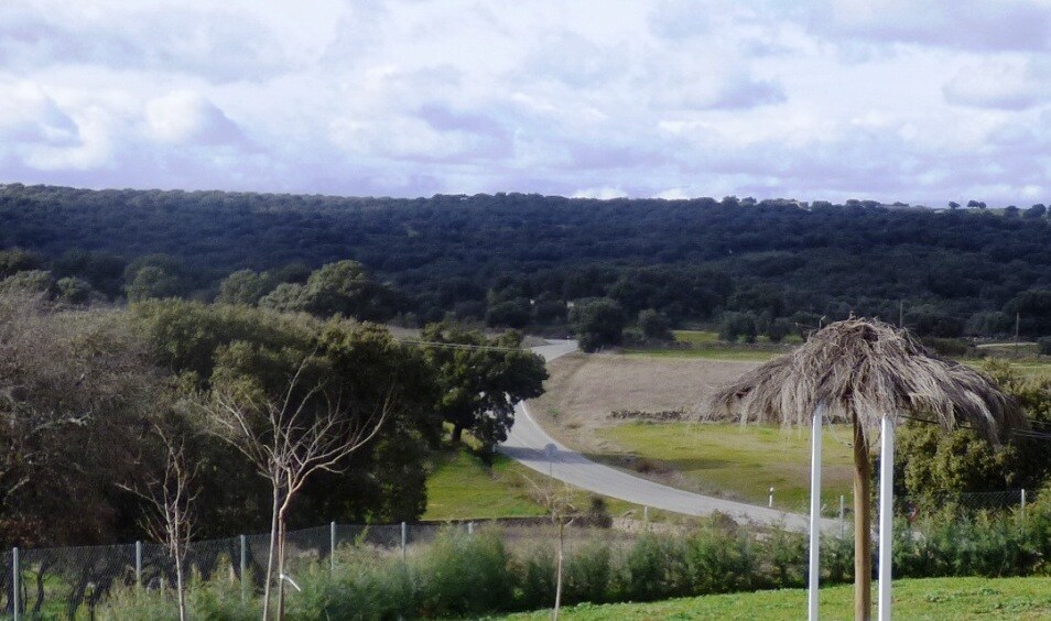 Imagen de la carretera en las inmediaciones de Valdehúncar 