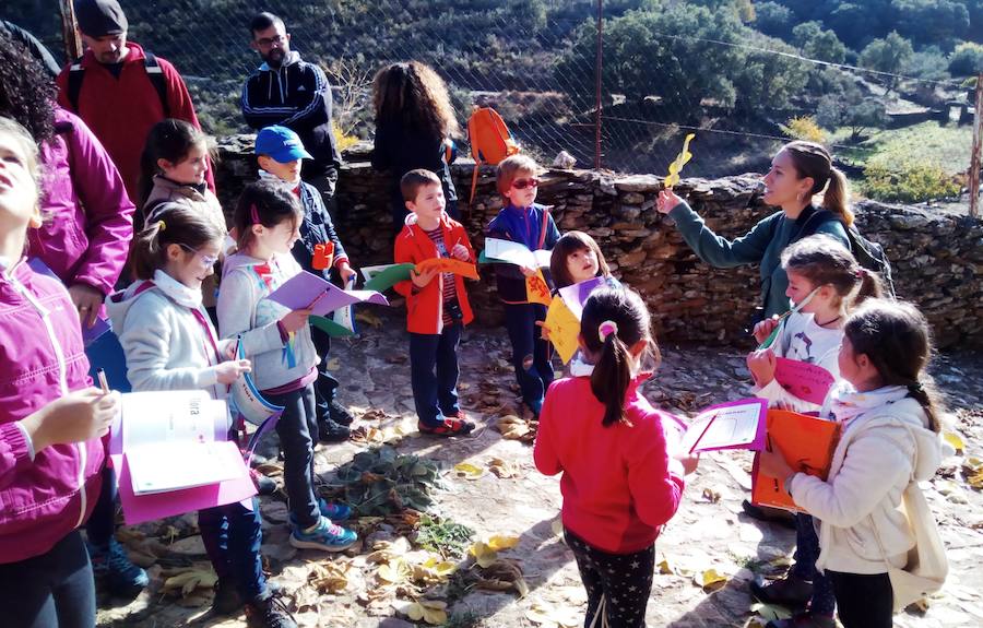 Ruta guiada en Higuera de Albalat 