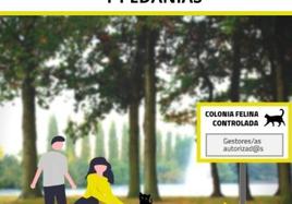Las colonias de gatos serán controladas por el Ayuntamiento