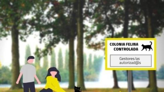 Las colonias de gatos serán controladas por el Ayuntamiento