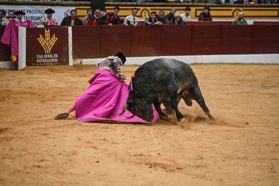La 33ª Feria del Toro de Olivenza será del 1 al 3 de marzo