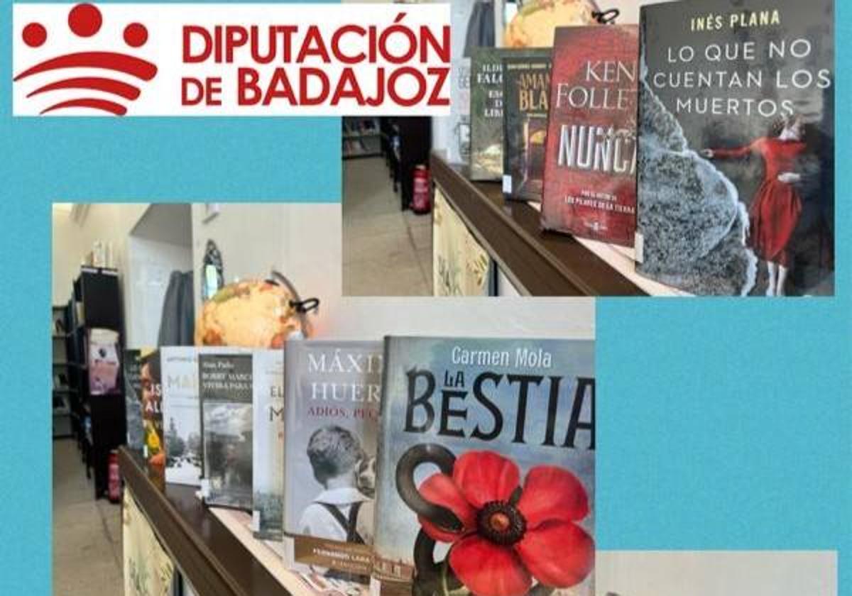 La Biblioteca Pública recibirá fondos bibliográficos por valor de 1.311 euros