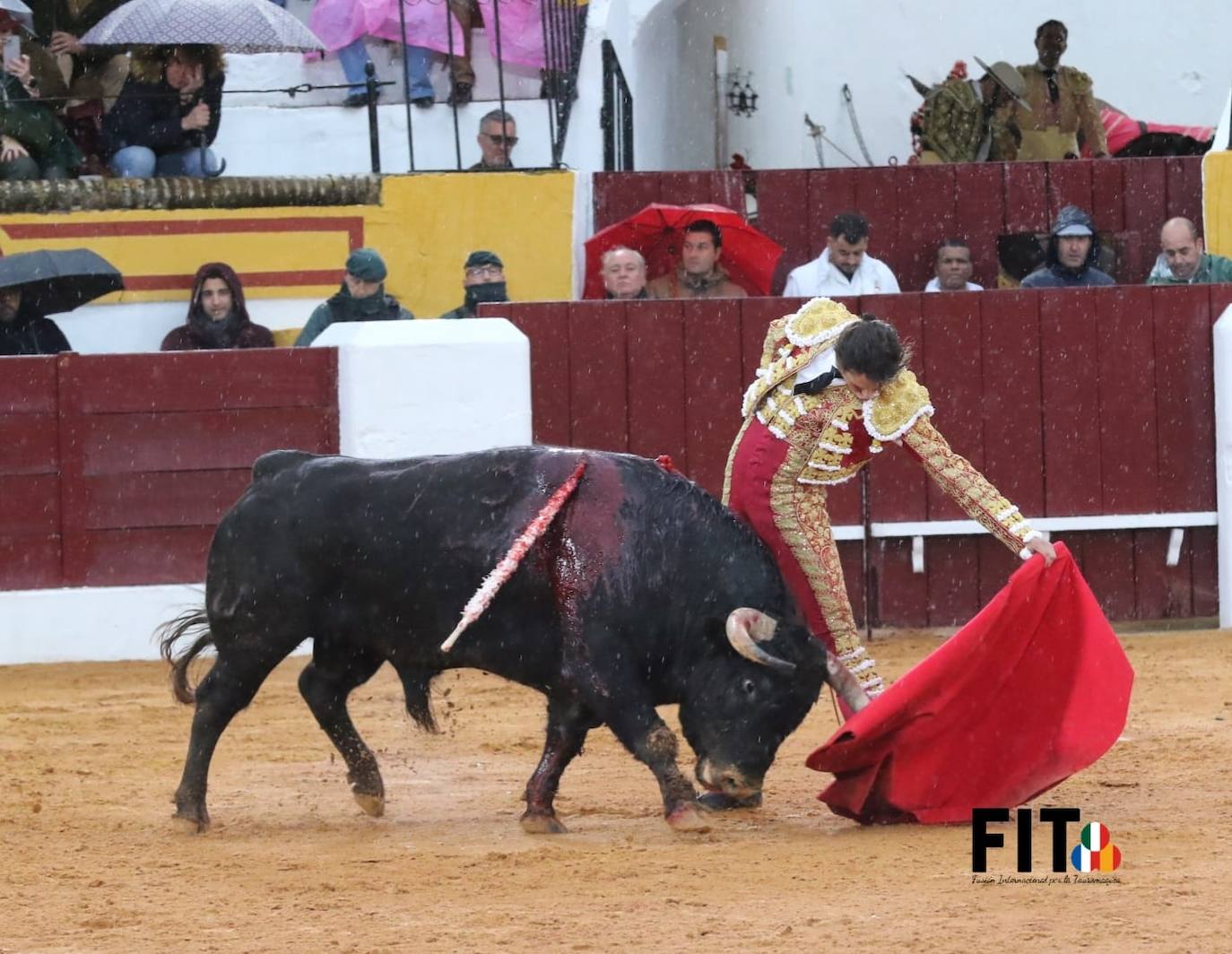 Olivenza volvió a vibrar con los toros a pesar de la lluvia inicial