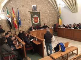 Ültima sesión plenaria celebrada en marzo.