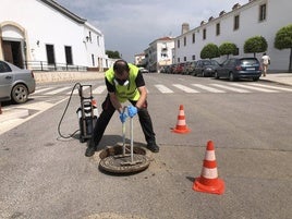 Un operario realizando labores de control de plagas.