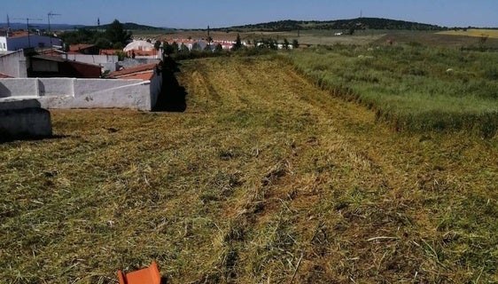Comienza la limpieza de maleza de solares y espacios municipales