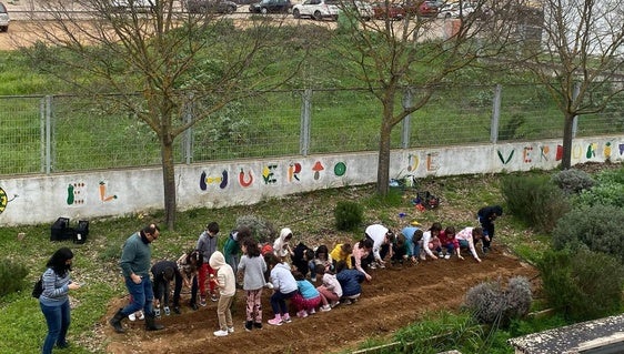 El huerto solidario del CEIP F. Ortiz destina su recaudación a 'Sonríe Olivenza'