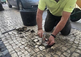 Los operarios municipales restauran la calzada.