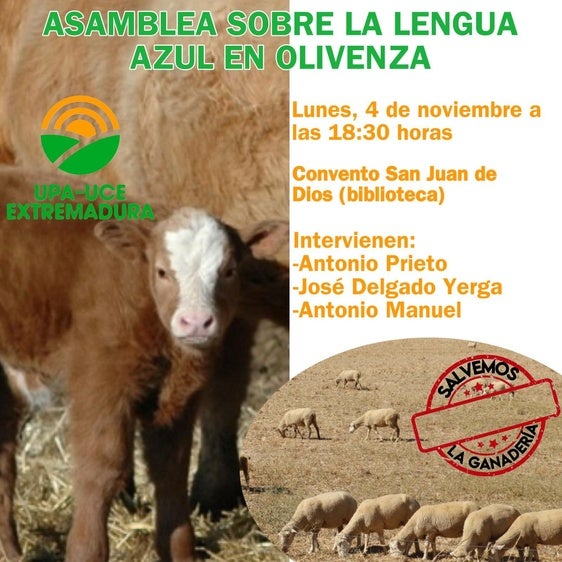 UPA-UCE Extremadura convoca una asamblea sobre la crisis ovina de la lengua azul