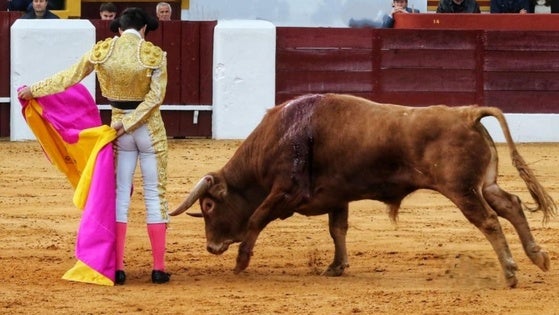 Comienza la venta online y telefónica de entradas para la XXXIV Feria del Toro