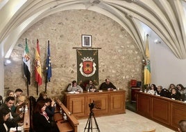 Momento del último pleno celebrado.