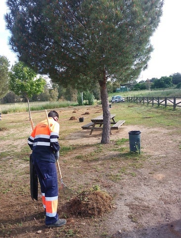 El entorno de la charca ha sido puesto a punto para la convivencia de San Isidro
