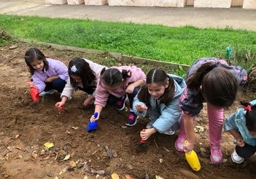El CEIP Fco Ortiz López impulsa hábitos saludables y sostenibles con su proyecto de huerto escolar ecológico