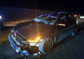 Estado en el que ha quedado el vehículo tras chocar contra el caballo