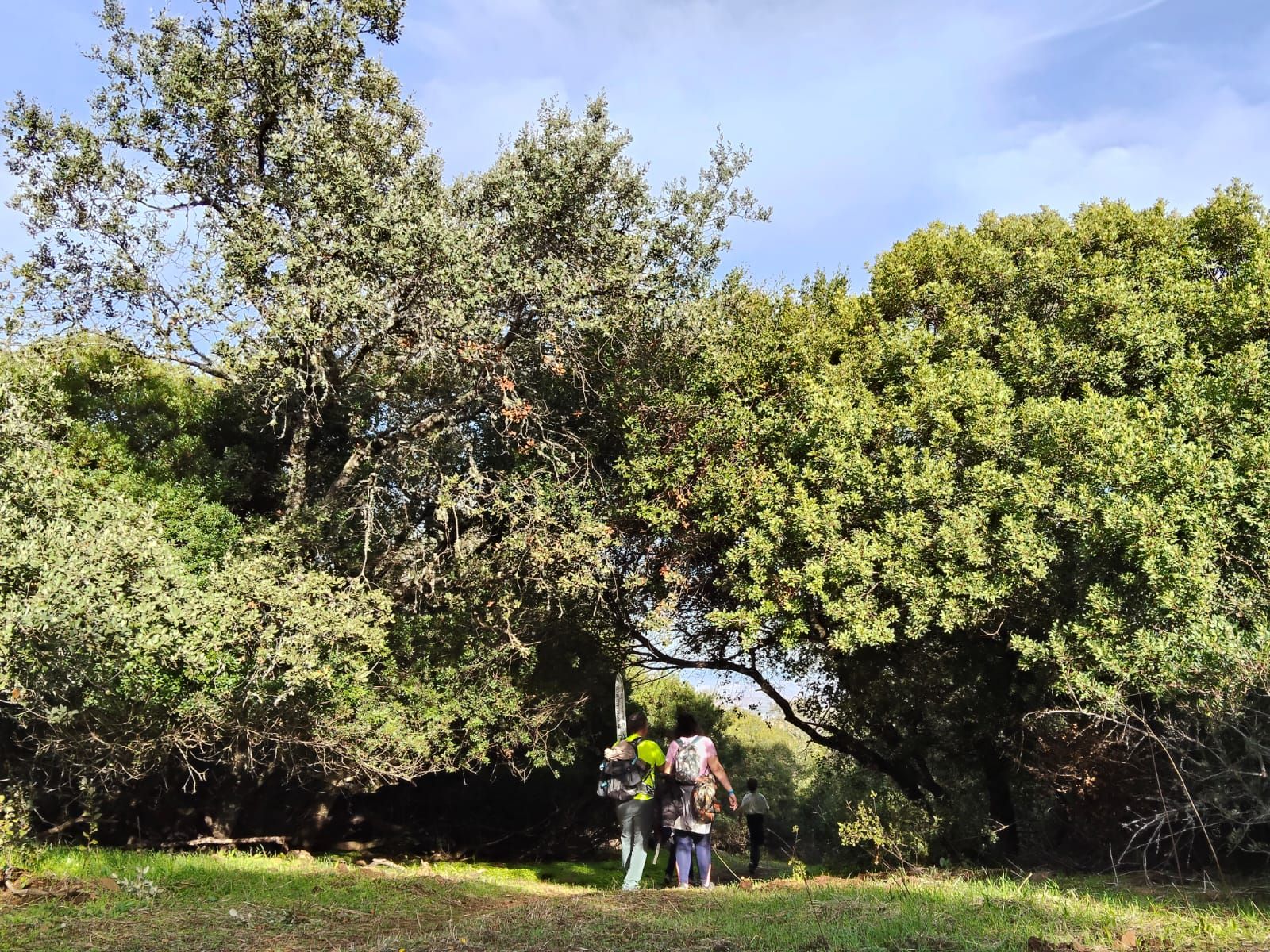 Más de doscientos senderistas disfrutaron la II Ruta de Al(M)or por la Sierra de Alor