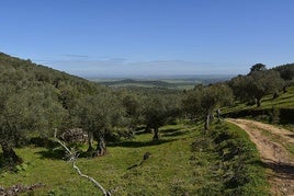 Licitada la asistencia técnica para la mejora y homologación de los senderos de la zona Llanos de Olivenza
