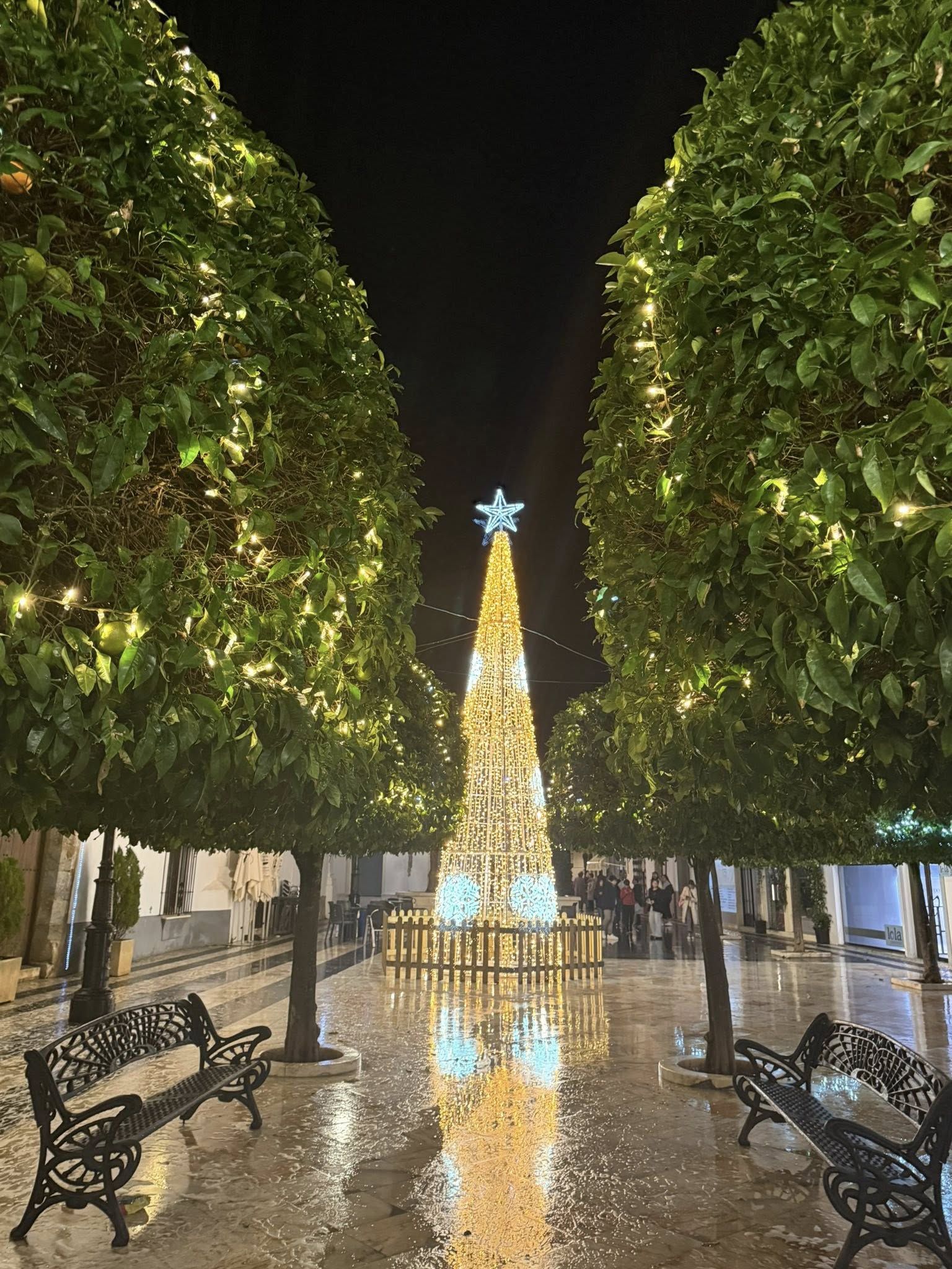 La ciudad arranca la programación navideña con las actividades del encendido