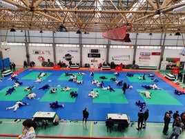 La ciudad acogió el Campeonato de Extremadura Open Ne-waza de Judo