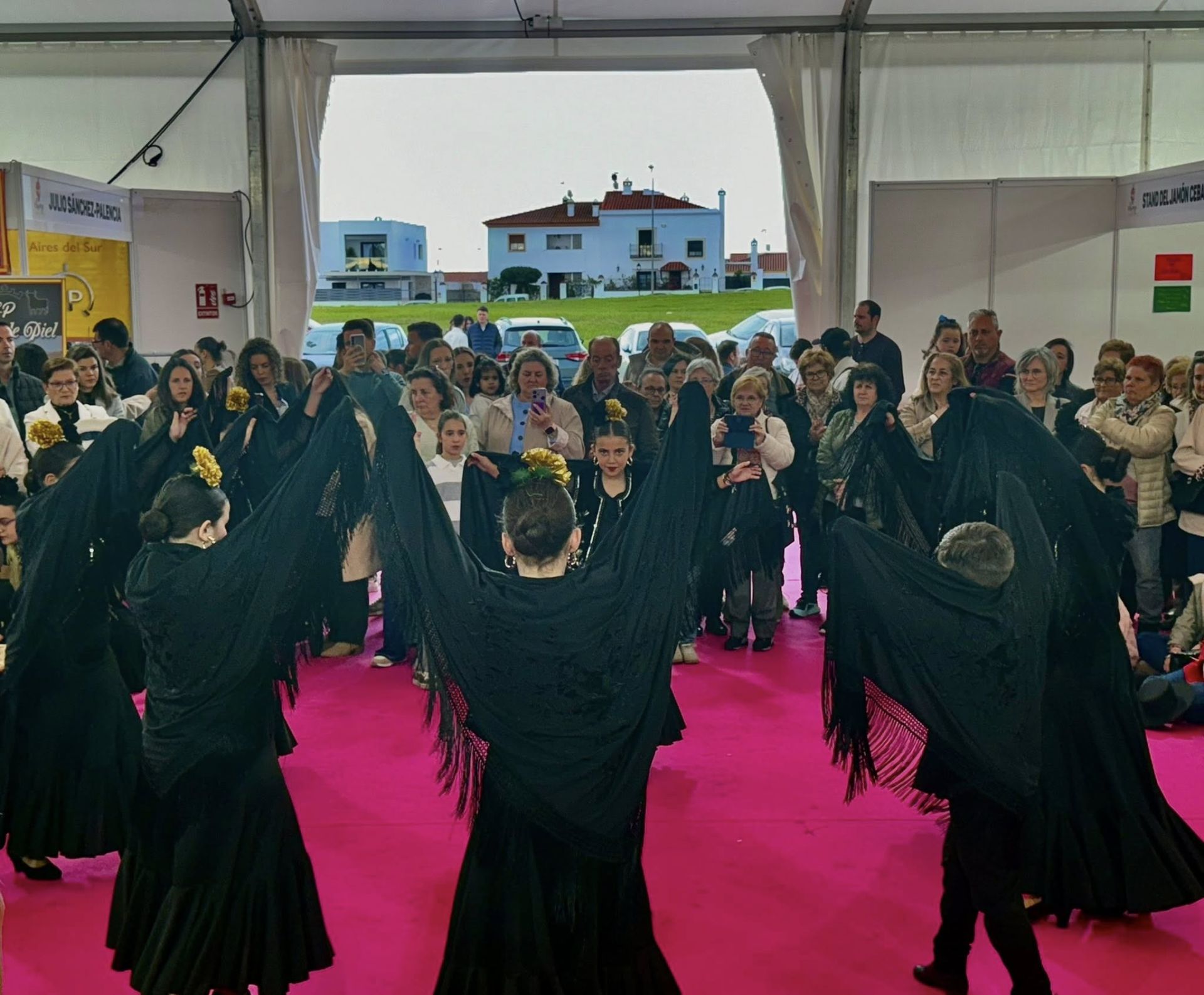 La exhibición del grupo de baile 'Aire Flamenco' encandiló al público
