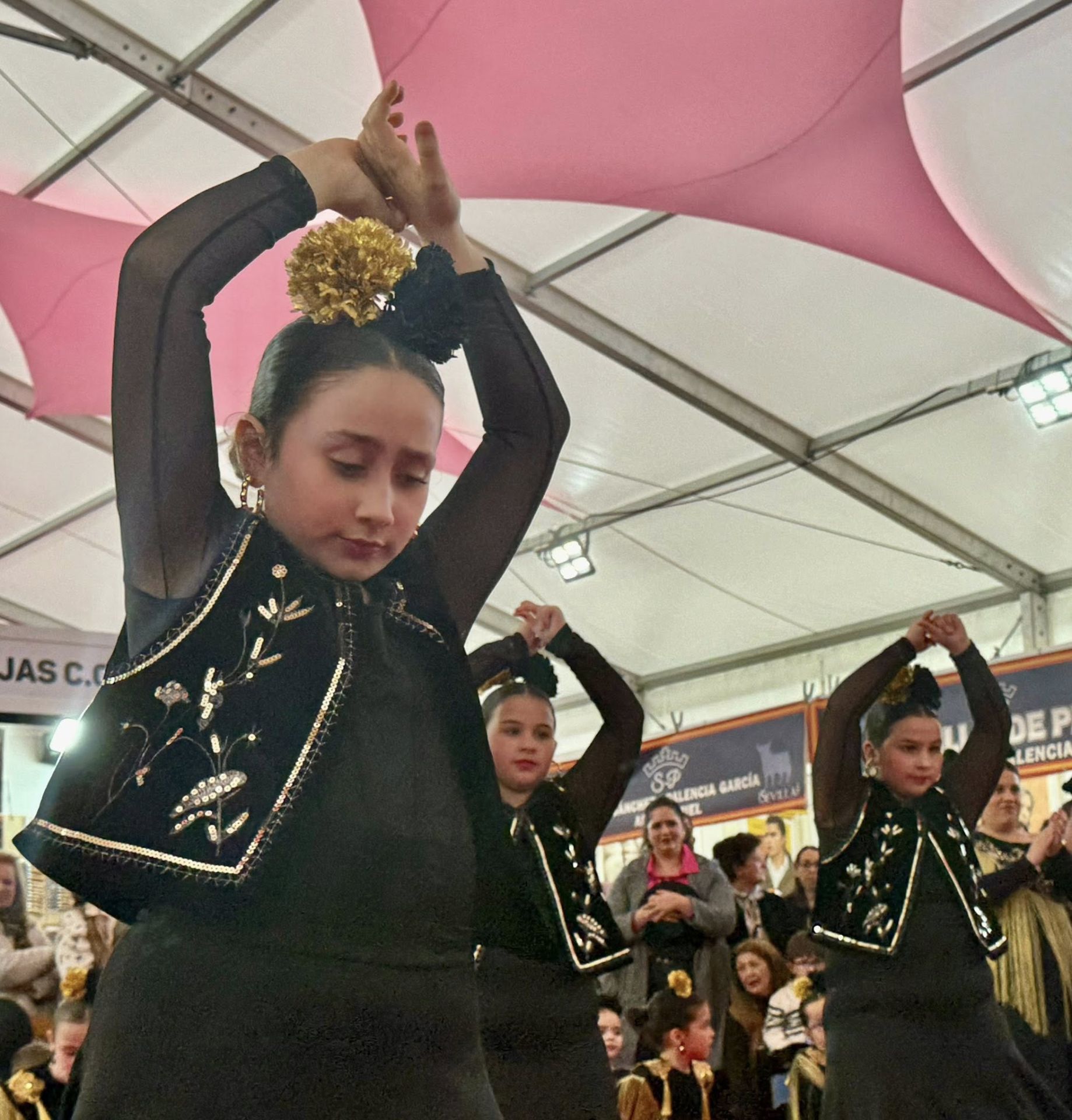 La exhibición del grupo de baile 'Aire Flamenco' encandiló al público