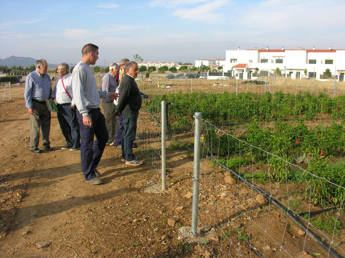 Visita a los huertos urbanos realizada el pasado mes de octubre. 
