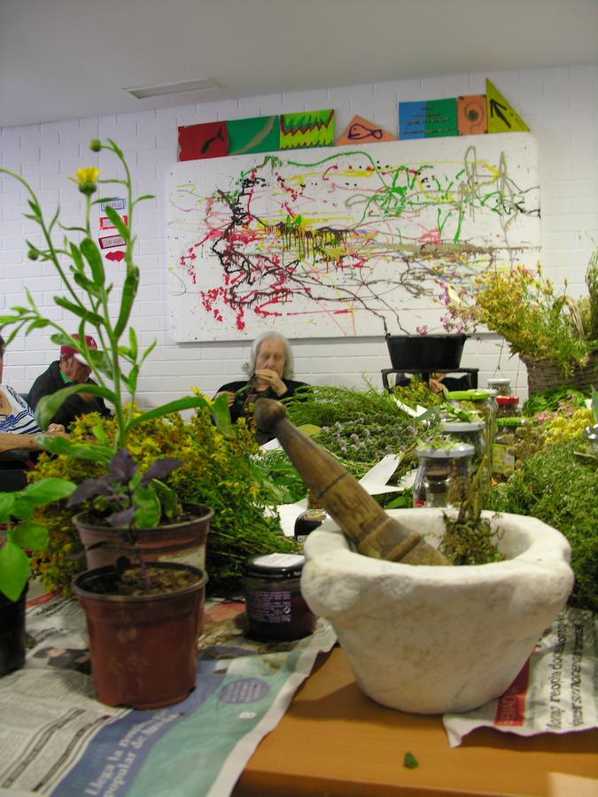 Mesa en la que se mstraron todo tipo de hierbas y plantas de la comarca. 