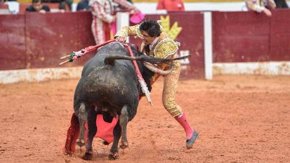 Un momento del incidente, justo después de entrar a matar. 