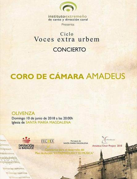 Cartel del concierto. 