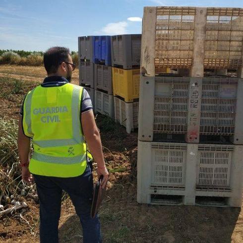 La Guardia Civil, durante la inspección. 