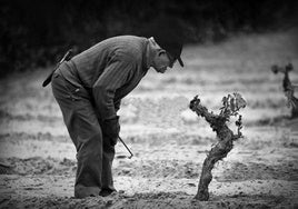 Primer premio de la última edición del certamen.