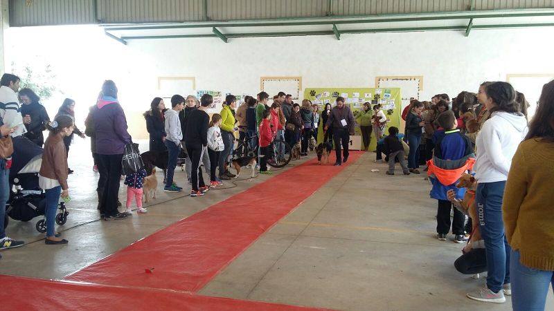 Desfile de una de las mascotas 