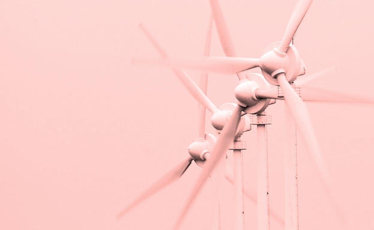 Ecosistemas esenciales para una economía verde y sostenible