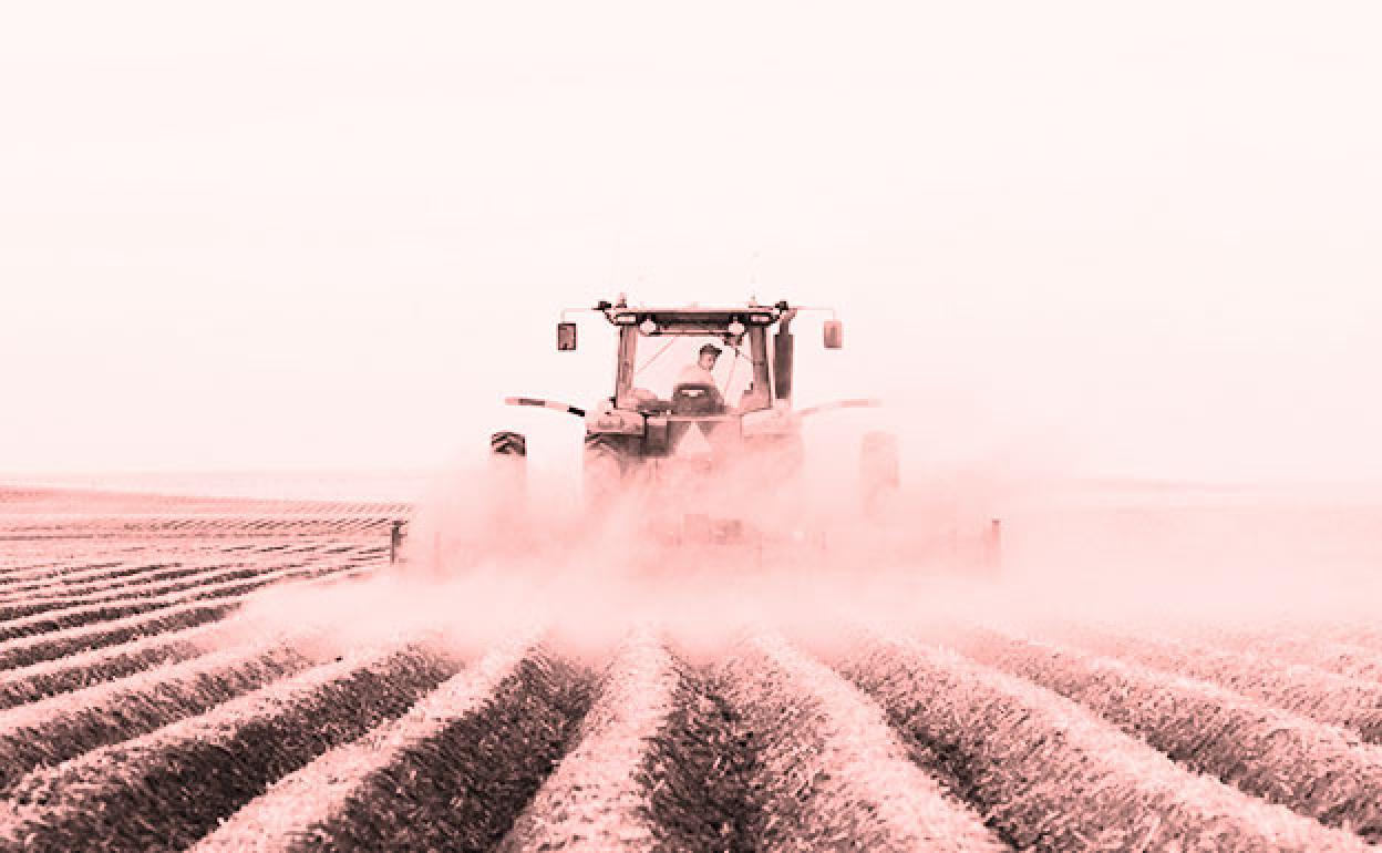 La digitalización de un sector seguro para invertir