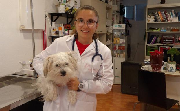 María en su consulta con Audrey, una de las mascotas a las que trata 