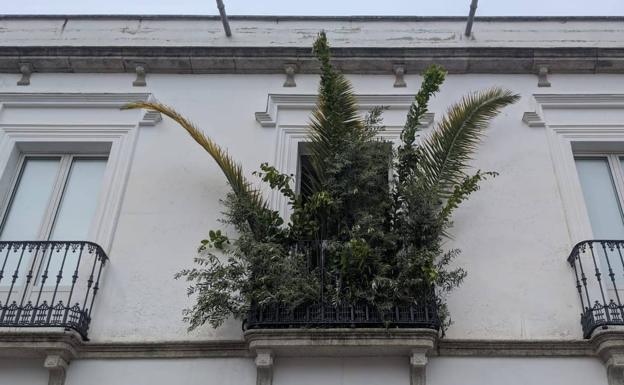 La originalidad caracteriza a este balcón adornado con distintas vegetaciones 