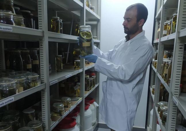 Pedro estudiando serpientes en la Estación Biológica de Doñana.