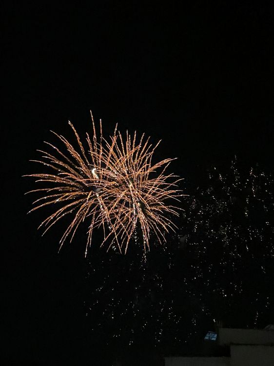 Fin de 'Feria de Agosto 2023'
