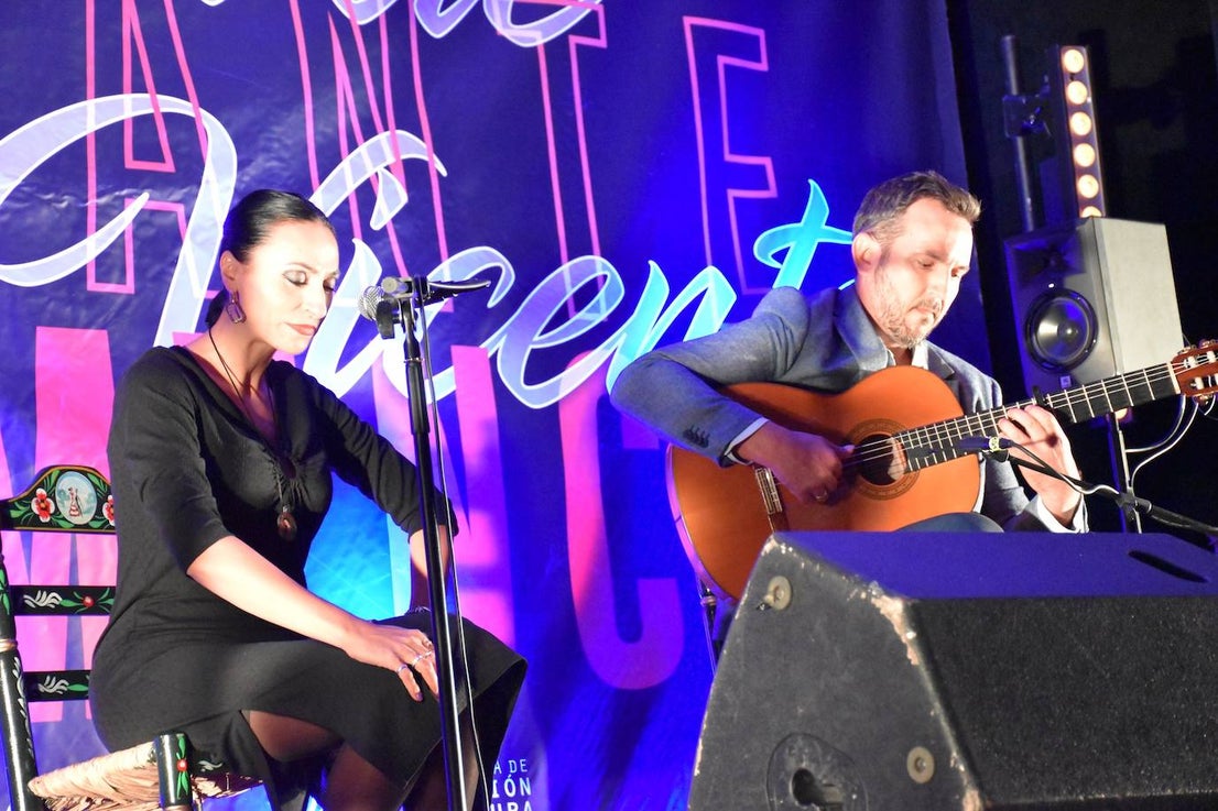 Fotos: Resumen fotográfico del XIII Certamen de Cante Flamenco 'Villa de San Vicente'