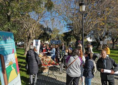 Imagen secundaria 1 - La localidad celebra el Día Internacional de las Personas con Discapacidad