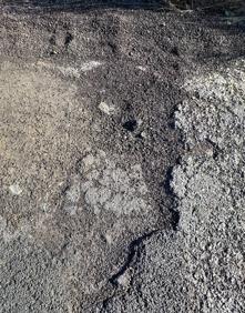 Imagen secundaria 1 - Estado de la carretera. 