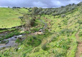 Los Molinos relucen verdes y con agua.