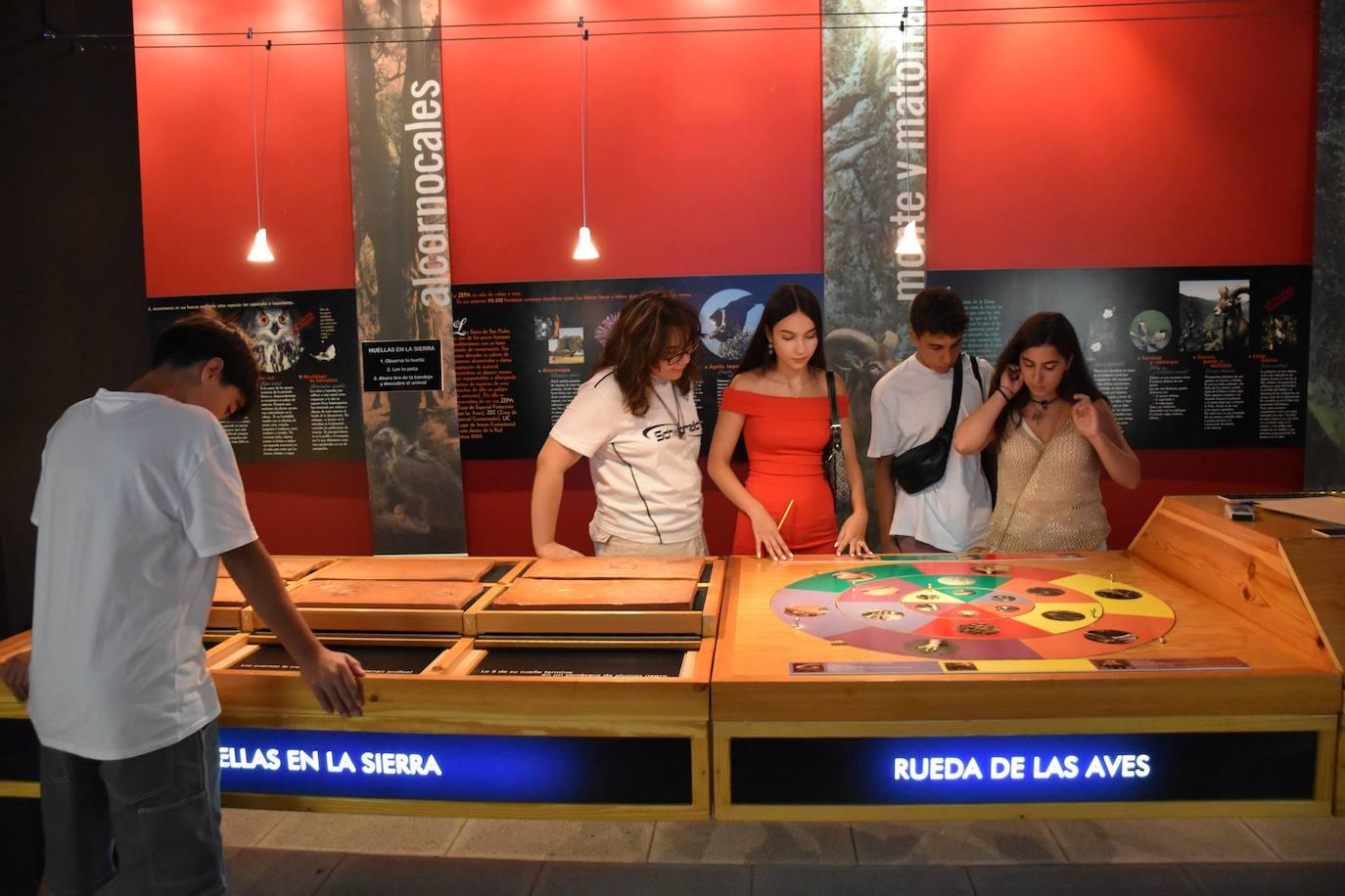 Una Noche en Blanco con récord de actividades (I)