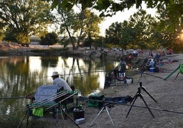 Una Noche en Blanco con récord de actividades (II)