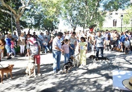 Ningún sanvicenteño quiere perderse el concurso exposición de mascotas.