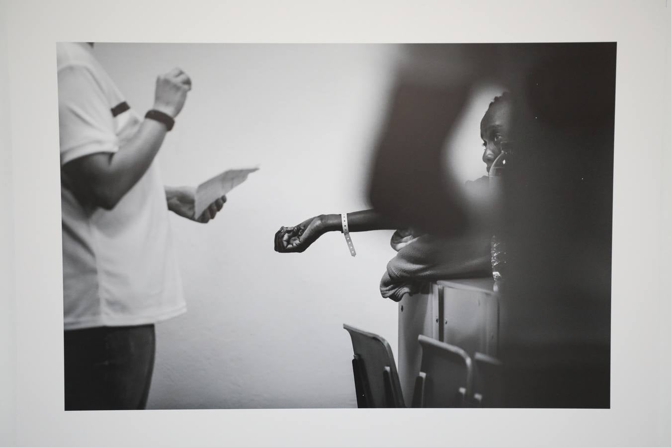 Fotos: El patio de la Asamblea de Extremadura acoge la exposición 'La revelación de la empatía'