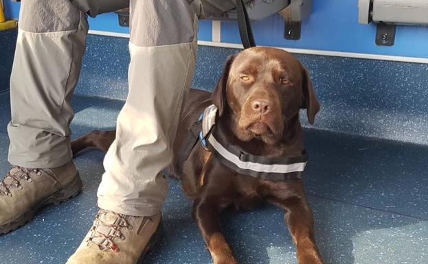 Perla, en un autobús de Tubasa.