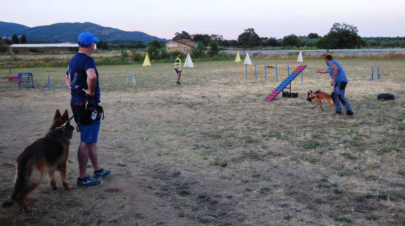 Paraje natural. El centro está en una finca de Tejeda de Tiétar. 