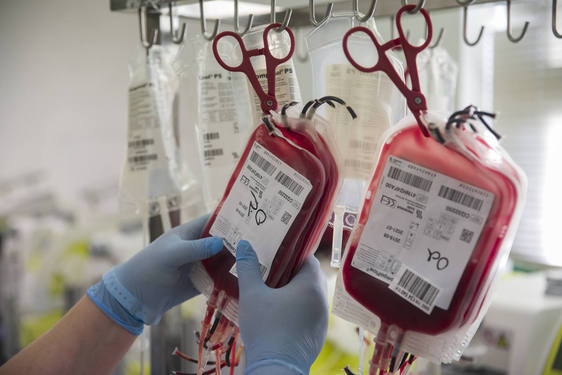 Los equipos del Banco de Sangre de Extremadura recorrerán 11.600 kilómetros en abril