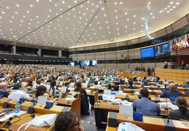 Durante la celebración del Parlamento Europeo